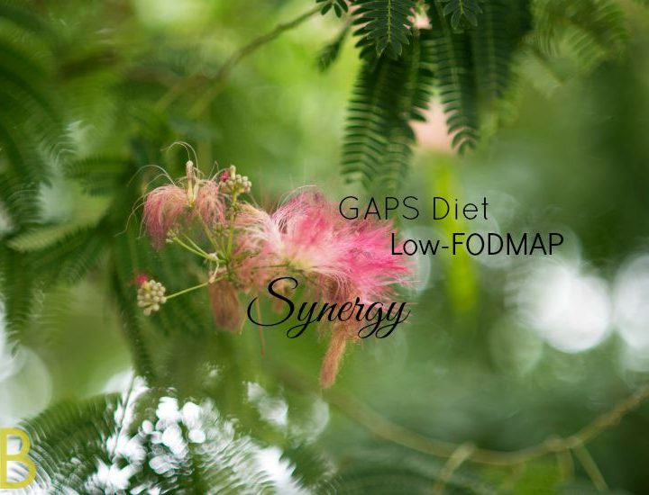 GAPS-Diet-Low-FODMAP-Synergy