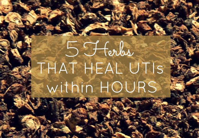 Several years ago I had a few recurrent urinary tract infections. They were an early warning sign of my leaky gut and interstitial cystitis (now healed). I found several herbs that when steeped or boiled, depending on the nature of the herb, made a healing tea that gave me complete relief and healing within just a couple of hours. This recipe worked every time with quick, powerful convincing evidence that herbs are worth learning about. I never saw relief from other methods; and I am surprised these herbs haven't gotten more press due to their effectiveness.