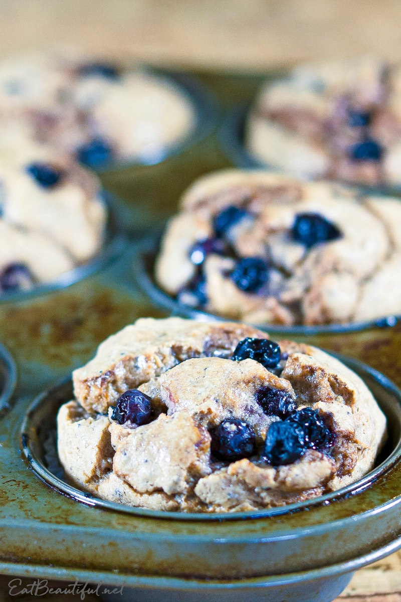 close-up view of sprouted blueberry muffins