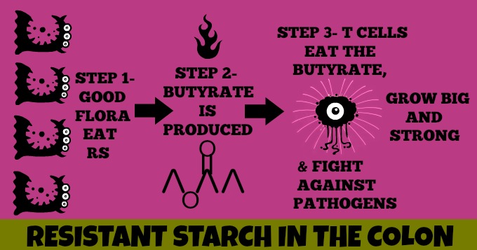 resistant-starch