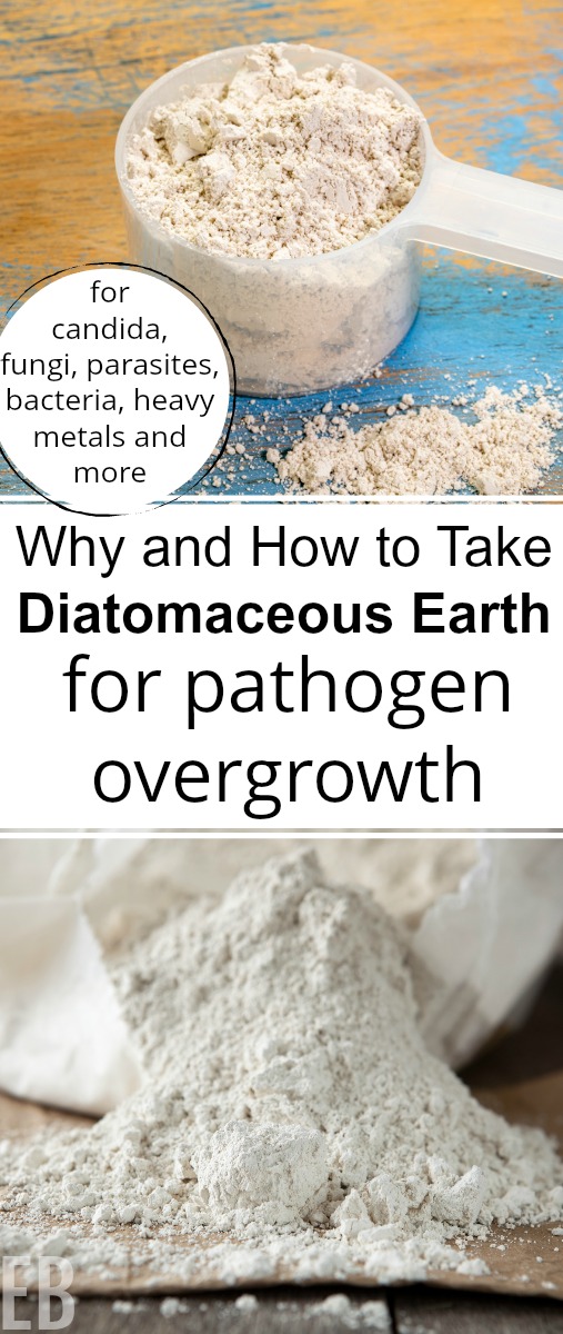 loose powder of diatomaceous earth