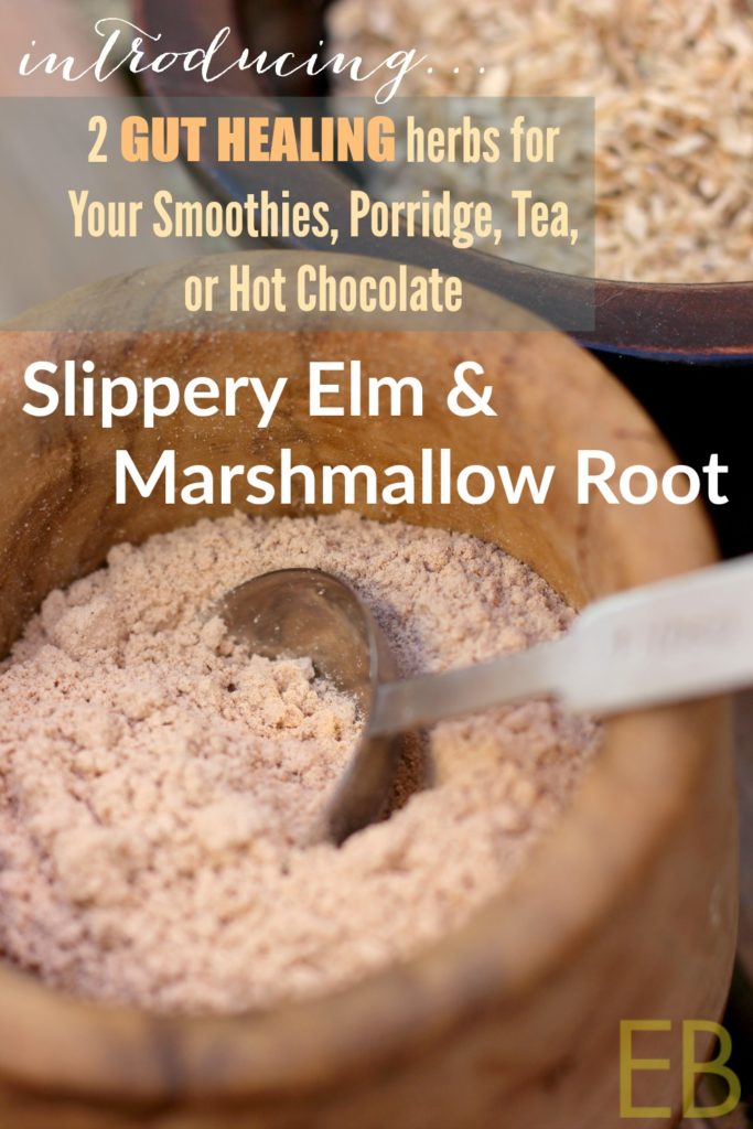 slippery-elm-marshmallow-root