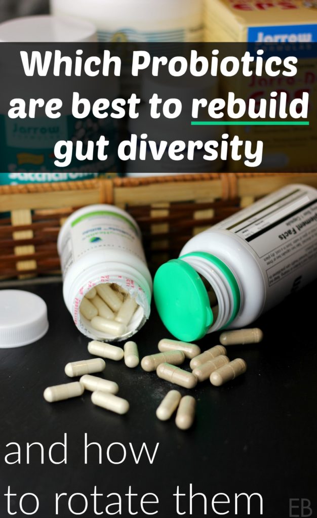 Which Probiotics to Rebuild Gut Diversity and how to rotate them