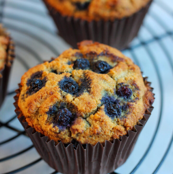 up close aip blueberry muffin