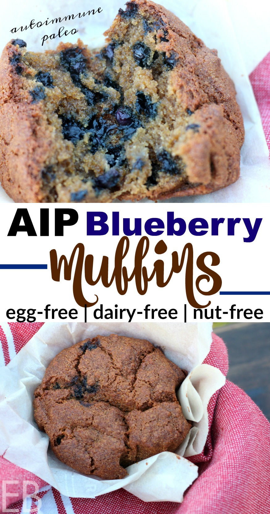 AIP Blueberry Muffins {autoimmune protocol, egg-free, dairy-free, nut-free; moist and delicious; easy ingredients!} #aipmuffins #aipblueberrymuffins #autoimmuneprotocol #paleoblueberrymuffins #aip