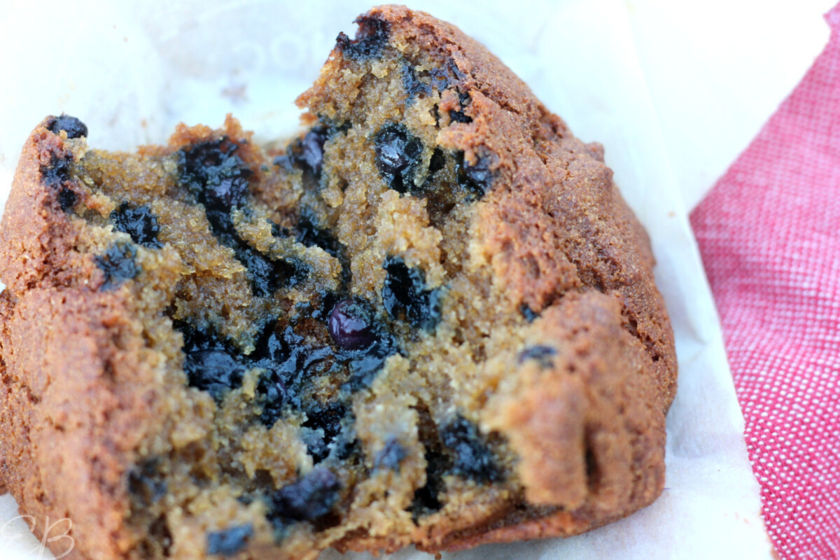 super up close photo of aip blueberry muffin broken open