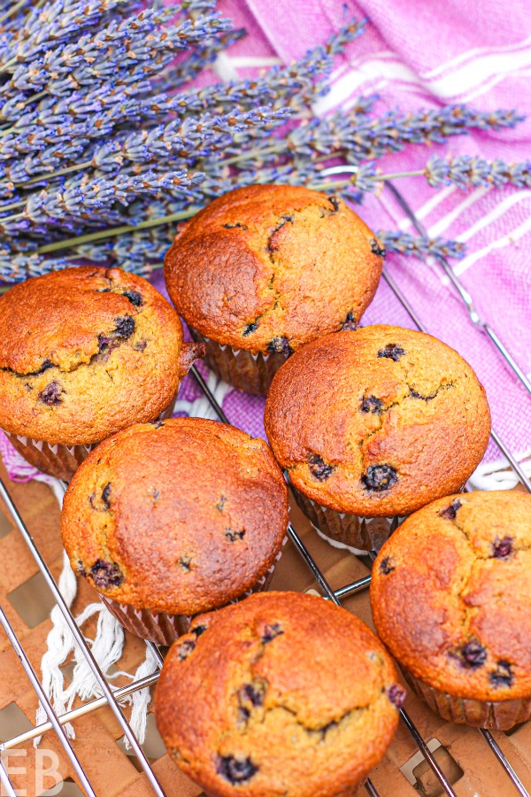 overhead view of six cooling paleo blueberry-banana high protein muffins