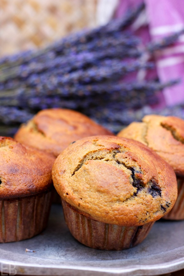 Paleo Blueberry Banana Muffins are the perfect breakfast, snack or treat; or eat alongside any meal. They're high in protein and prebiotics and just downright delicious! #paleo #muffins #blueberry #banana #resistantstarch #prebiotics #protein