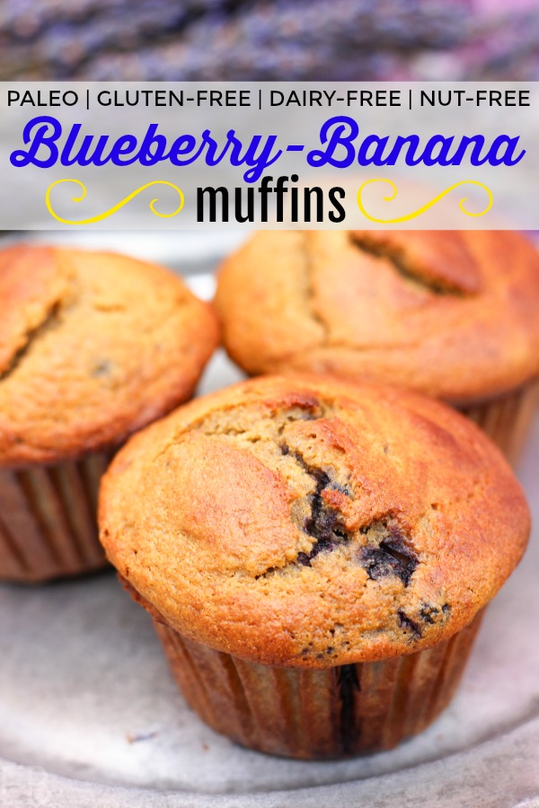 Paleo Blueberry Banana Muffins are the perfect breakfast, snack or treat; or eat alongside any meal. They're high in protein and prebiotics and just downright delicious! #paleo #muffins #blueberry #banana #resistantstarch #prebiotics #protein #nutfree #dairyfree