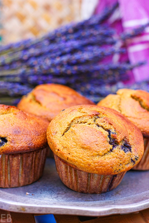 several paleo blueberry-banana muffins on a plate