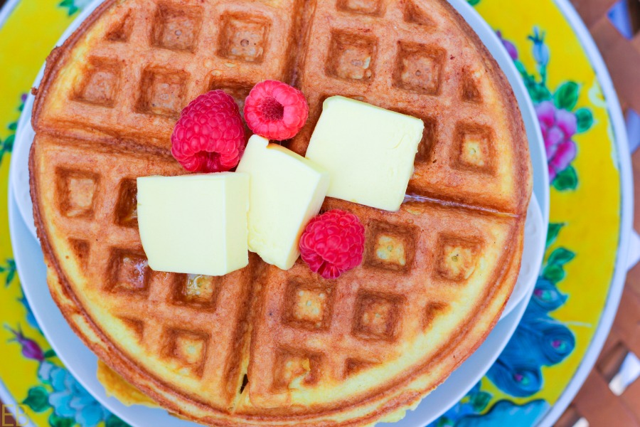 Keto Coconut Flour Waffles {nut-free, stevia only, GAPS, low-carb, Paleo} #keto #waffles #coconutflour #nutfree #stevia #paleo #gaps #lowcarb #ketobreakfast #gapsdiet #lowcarbbreakfast