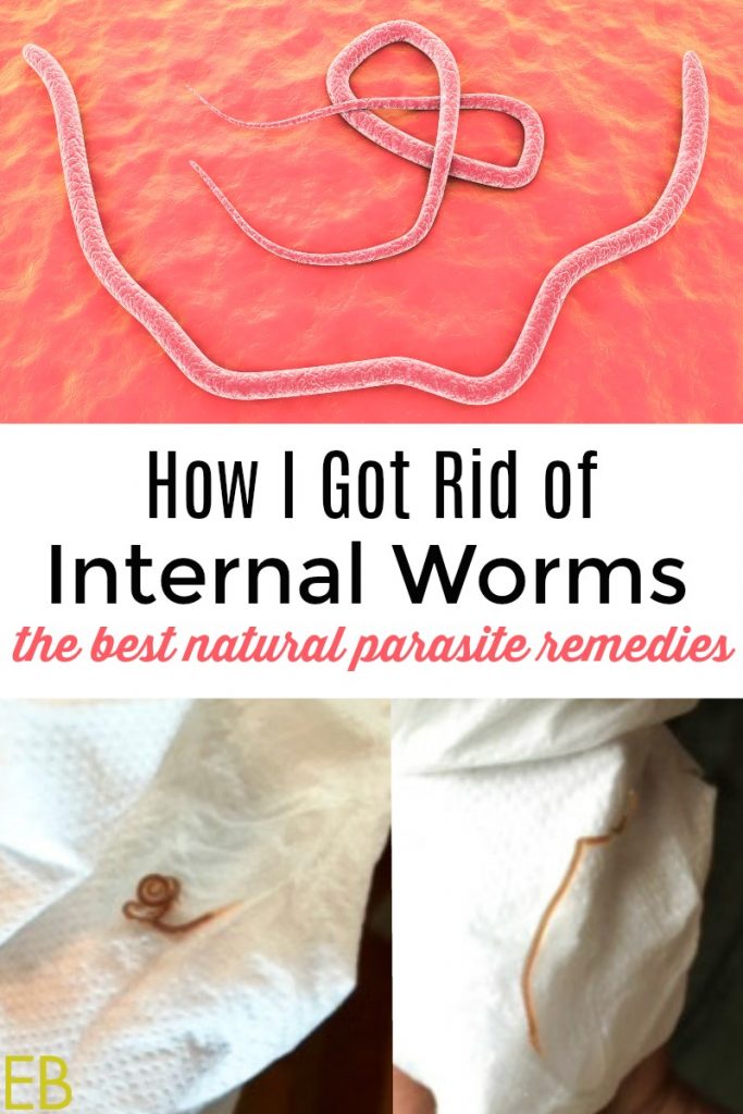 image of ascaris worms and banner of the best natural remedies for parasites