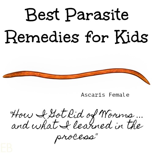 image of ascaris female worm and banner of best parasite remedies for kids