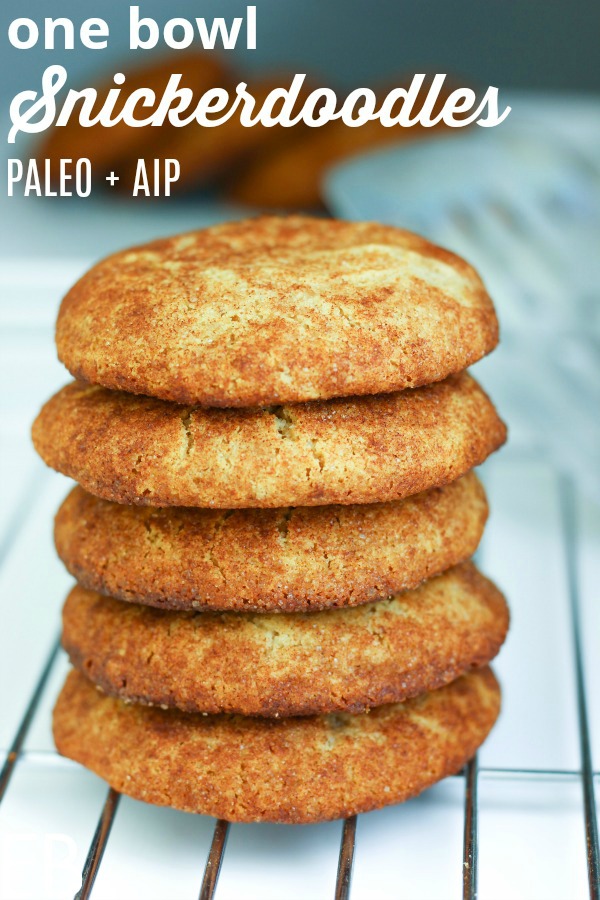 stack of aip snickerdoodles