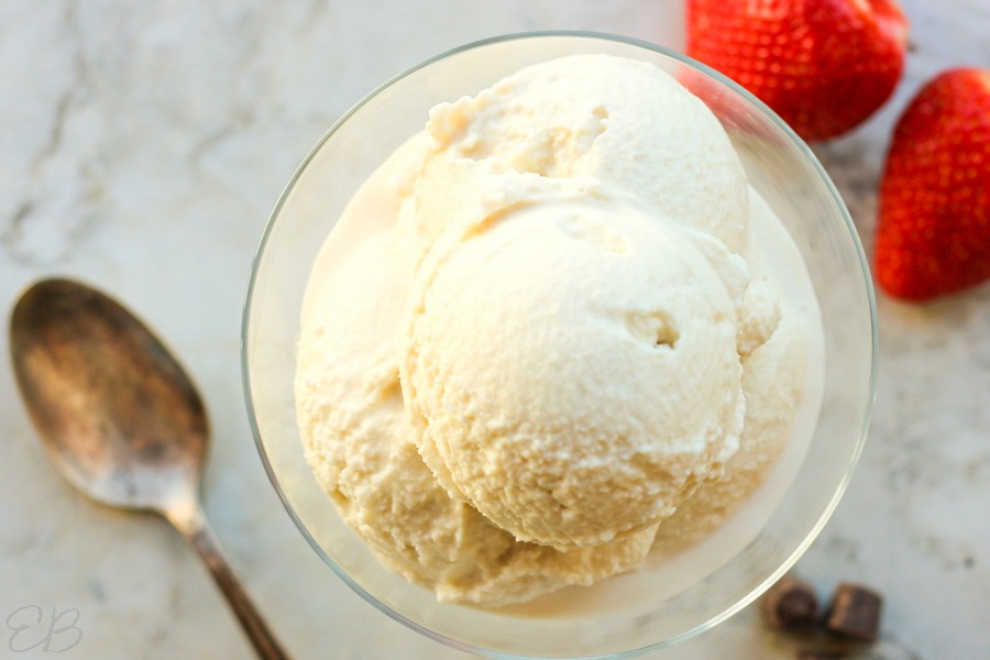 overhead view of paleo vanilla ice cream