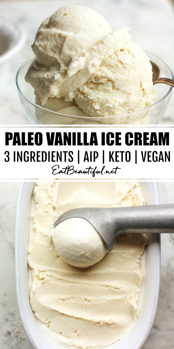 Paleo ice cream maker recipes sale