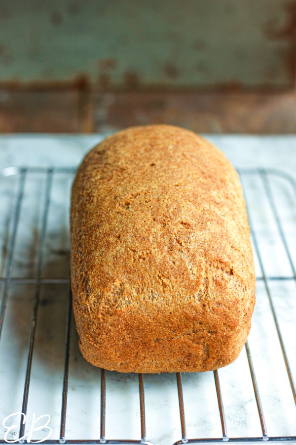 a whole loaf cooling on a rack of gluten-free rice bread