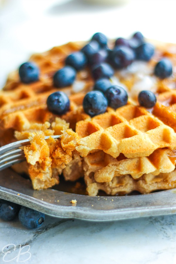 side angle view of paleo aip cassava waffle with blueberries on top