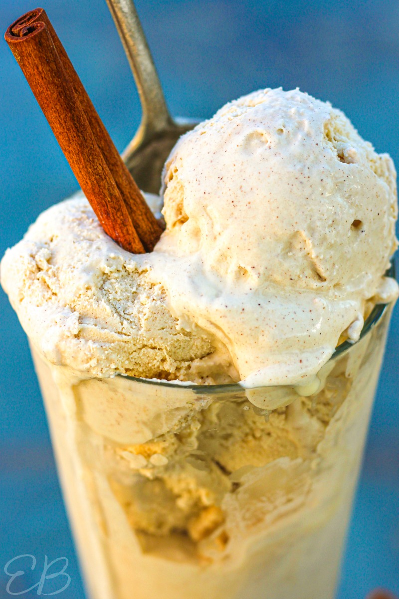 close up view of cinnamon ice cream with cinnamon stick