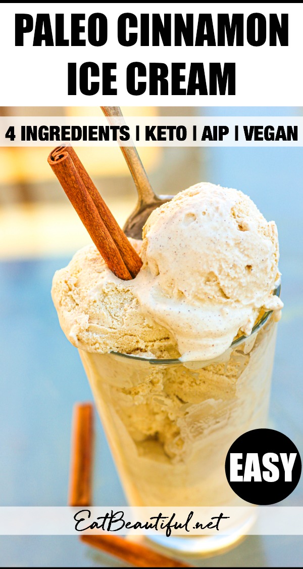 image and banner of paleo cinnamon ice cream