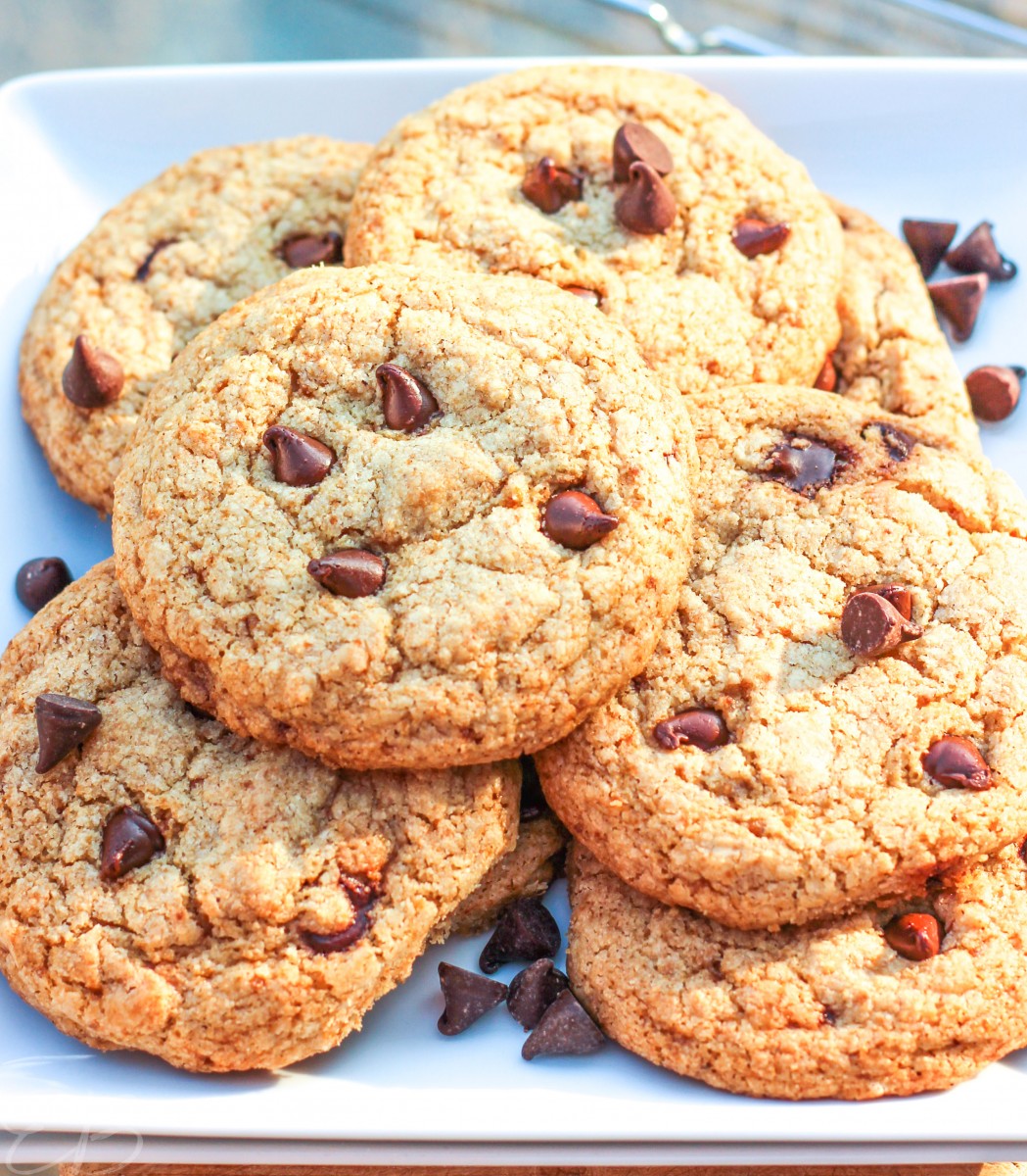 paleo aip chocolate chip cookies on white plate