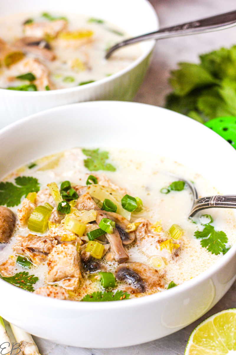 COVID Killer Recipe: Mom's Chicken & Rice Soup – Natural Home & Family