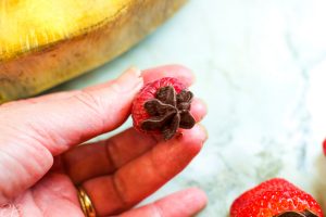 holding a raspberry filled with ganache