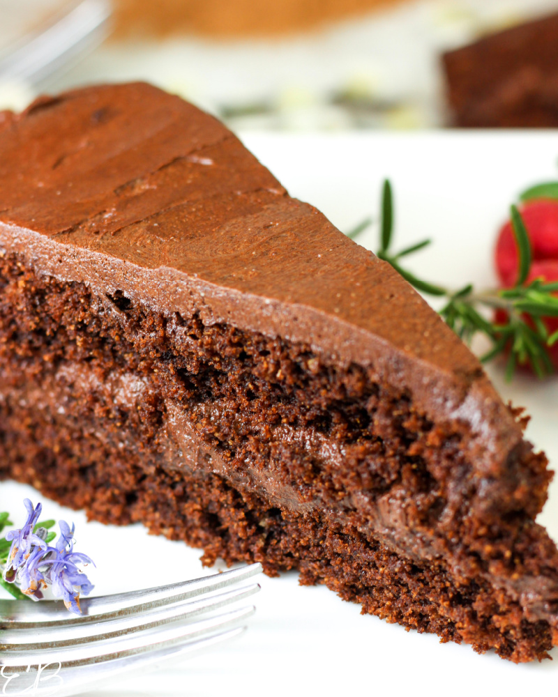 up close image of aip chocolate cake slice