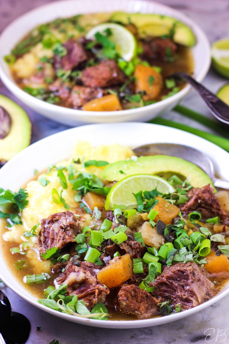 one bowl in the foreground and another in the background of aip mexican stew