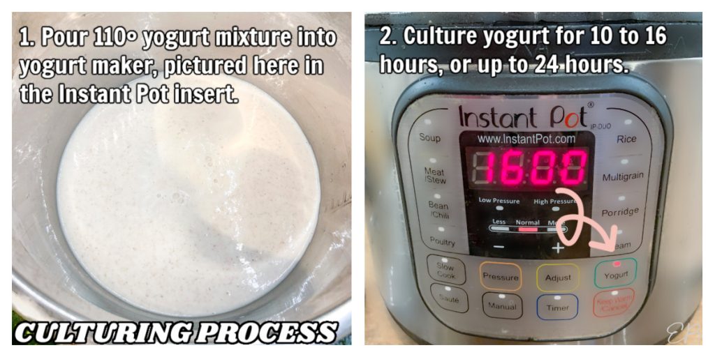 How to Make OAT MILK YOGURT (Instant Pot or any yogurt maker) Eat