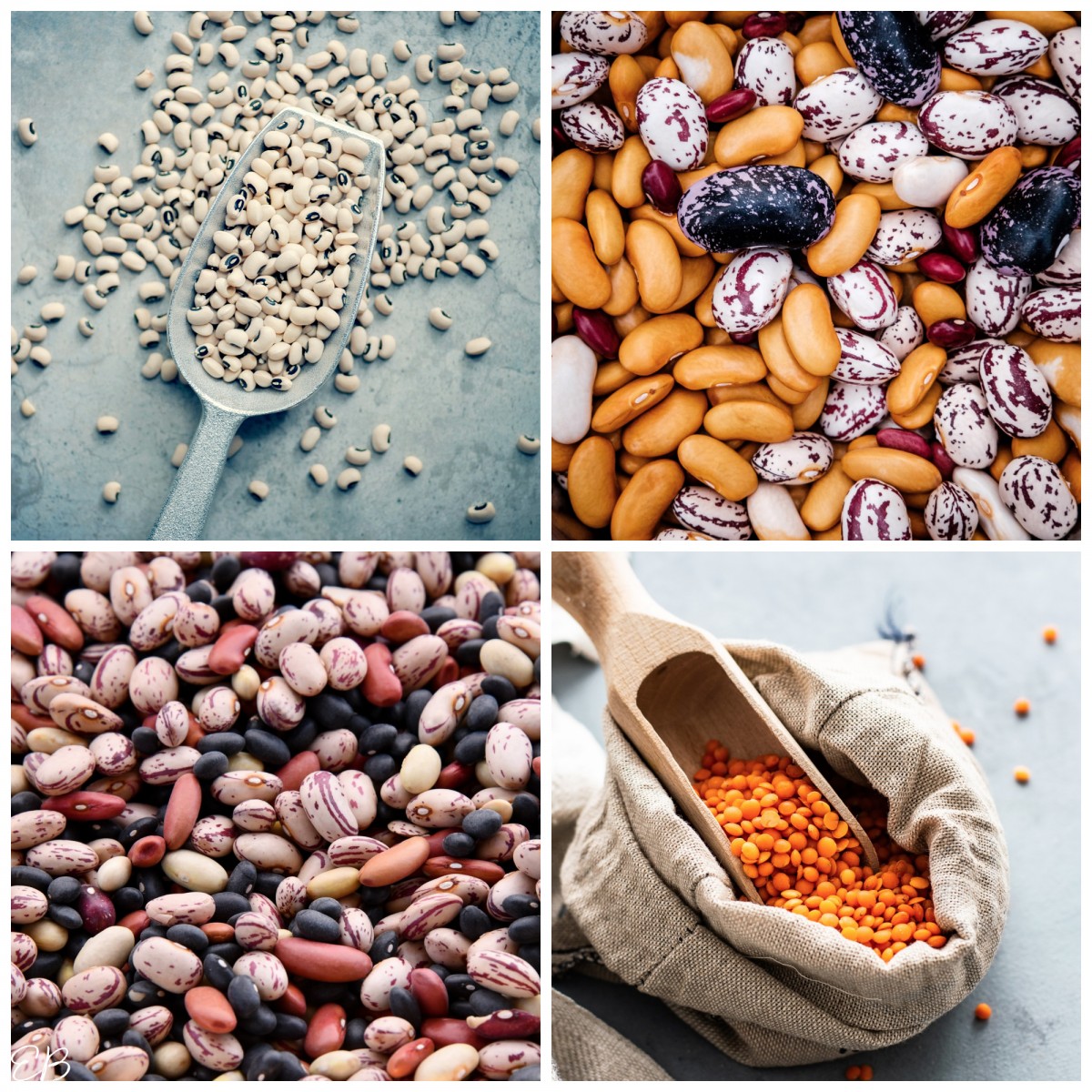 4 kinds of beans collaged