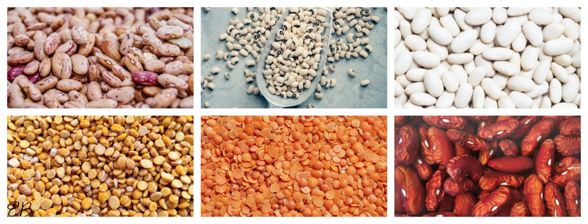 a collage of 6 kinds of beans