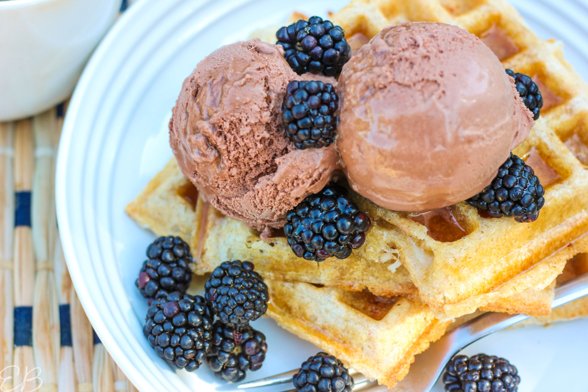 chocolate avocado ice cream scoops on top of bean and oat waffles with blackberries