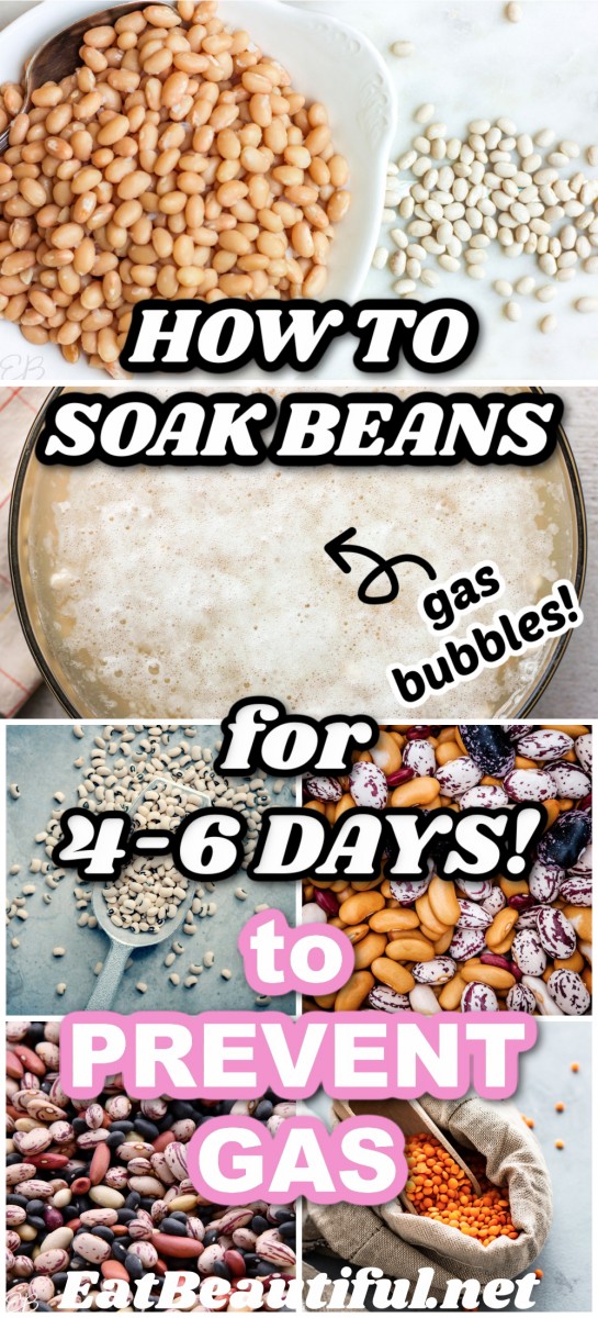 several images of beans and one of beans being soaked with gas bubbles on top