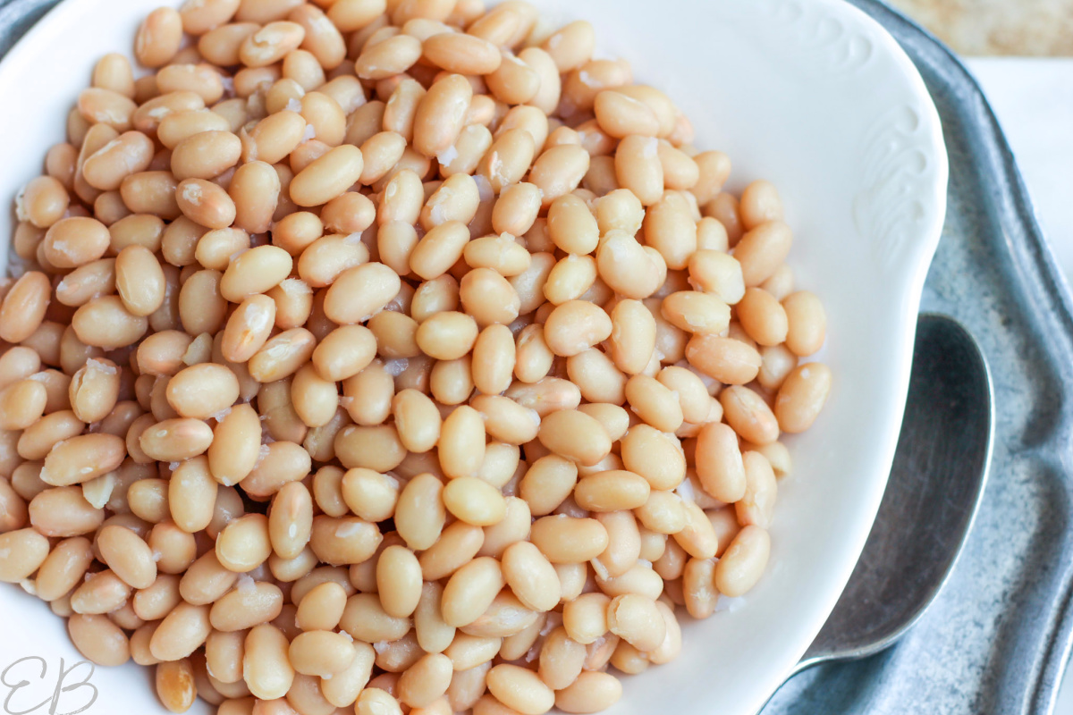 cooked and soaked navy beans