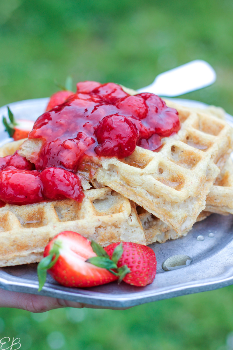 strawberry compote on bean and oat waffles