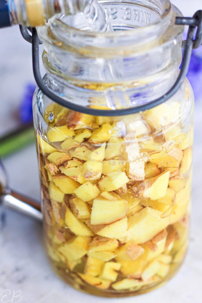 How to Make Ginger Tincture — from fresh or dried ginger! Eat Beautiful