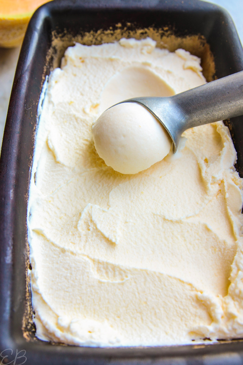 Cantaloupe Sea Salt Ice Cream Eat Beautiful