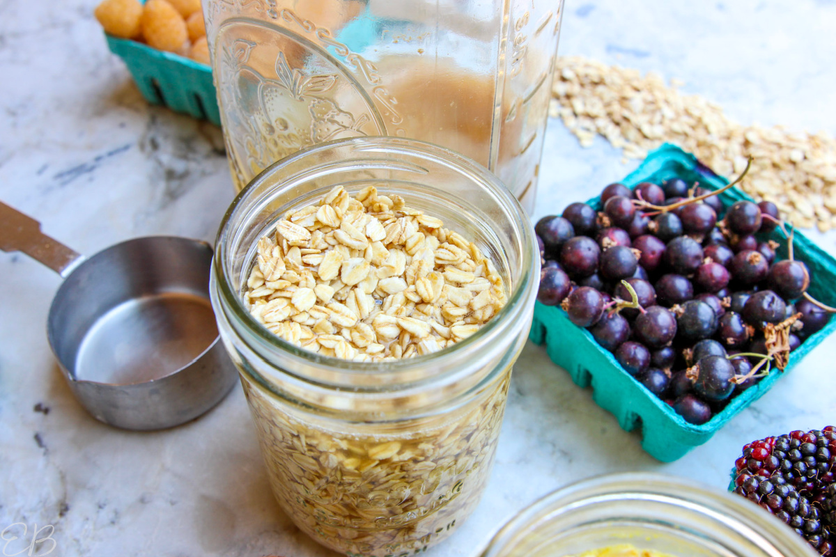 dry oats surrounded by the other ingredients