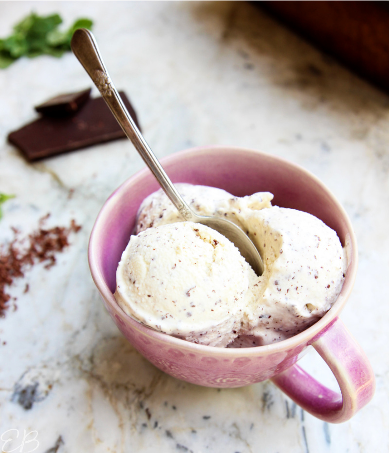 spoon in dish of 3 scoops of paleo mint chocolate chip ice cream