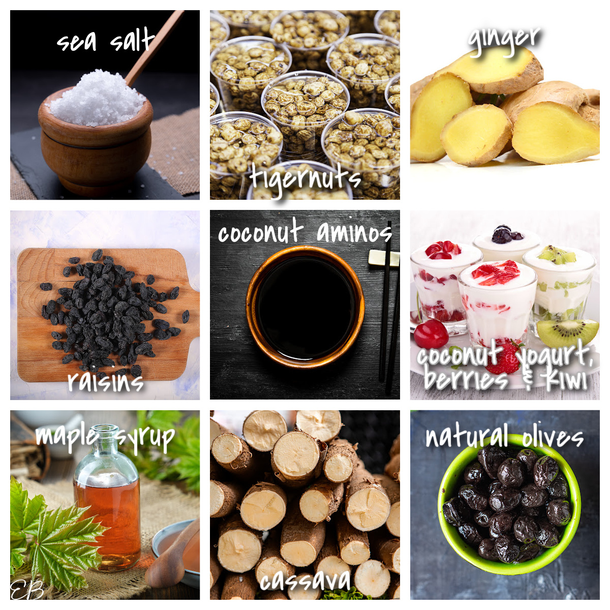 a collage of AIP Low-FODMAP compliant foods