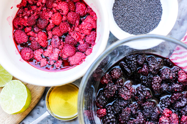 BASIL SEED JAM, Raspberry or Blackberry (Paleo, Vegan, Keto) Eat