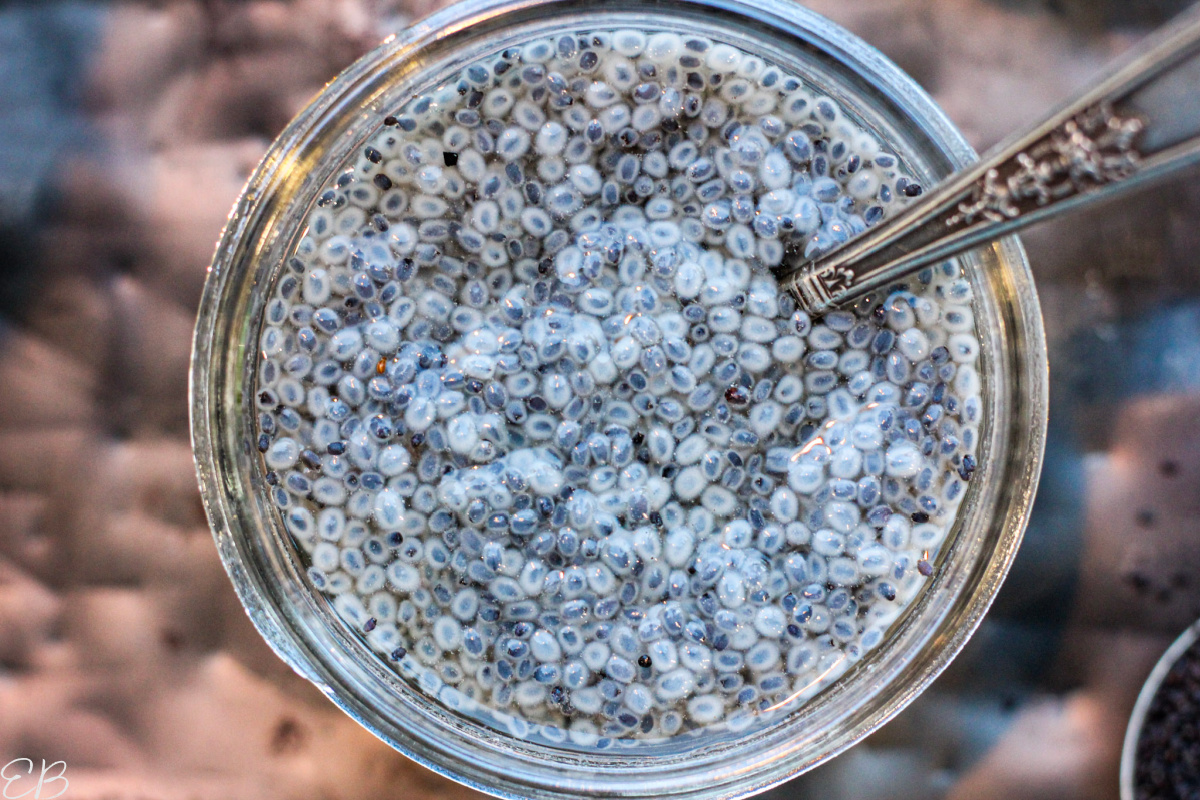 basil seeds soaked in water