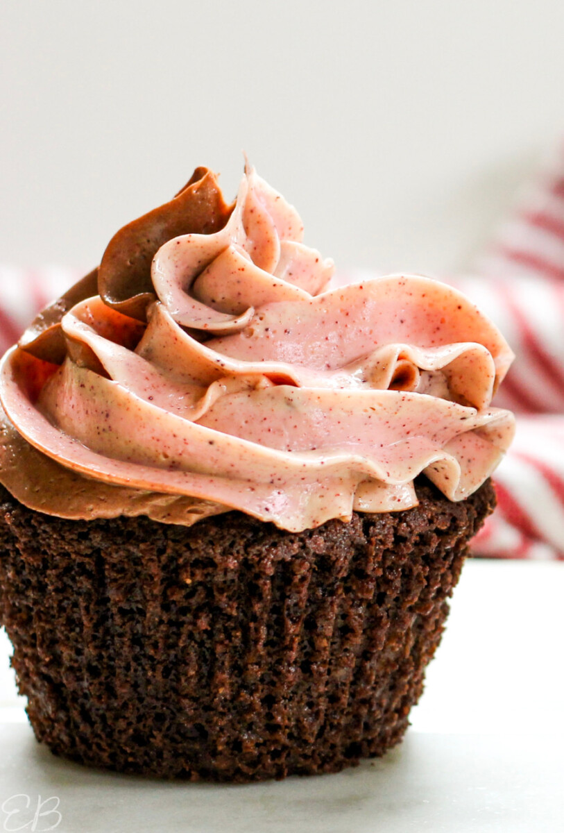 chocolate peppermint cupcake with swirl frosting