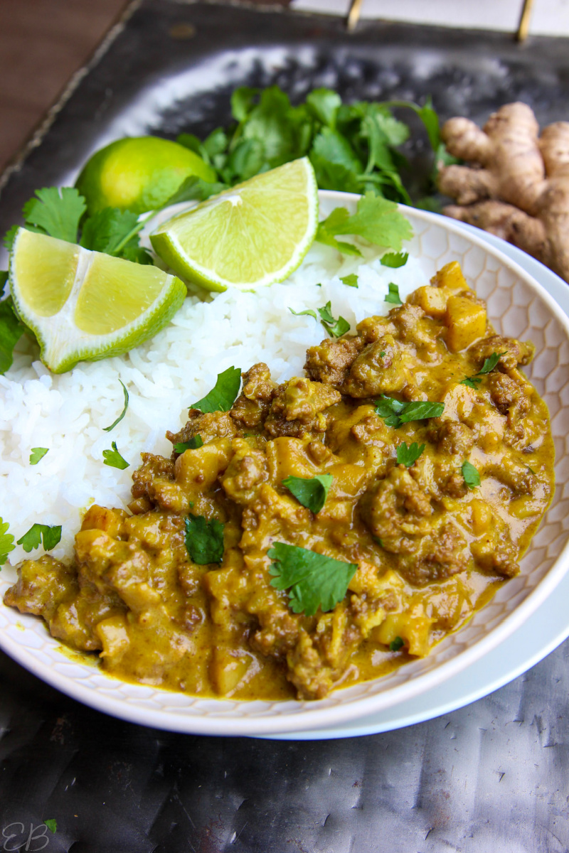 paleo aip coconut beef curry with turmeric served into white dish