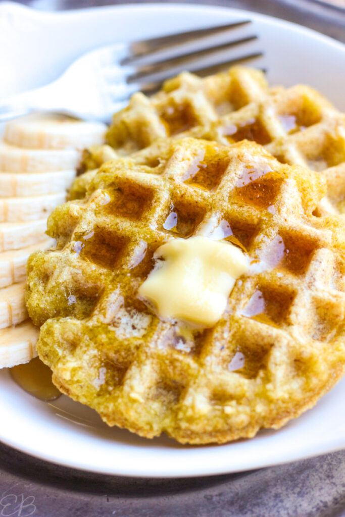 Beans and Rice Flour Waffles (Low Oxalate, Low Salicylate, Eggfree