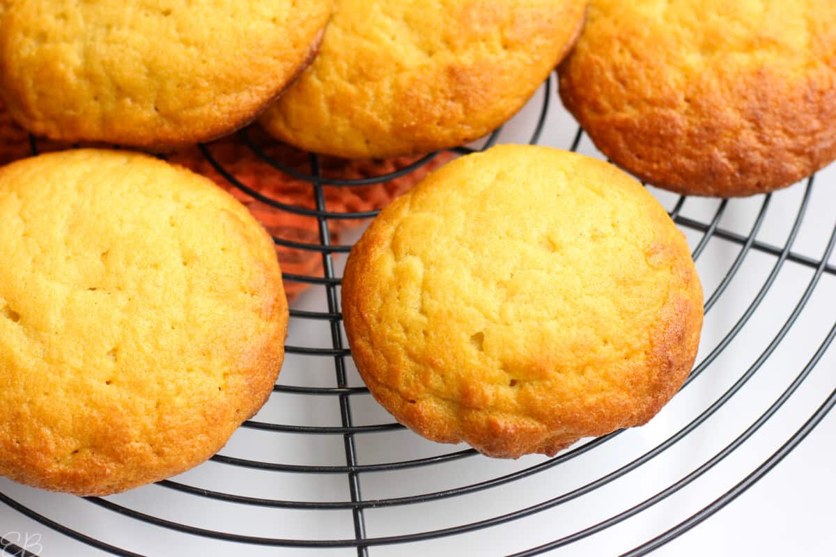 diatomaceous earth biscuits on cooling rack