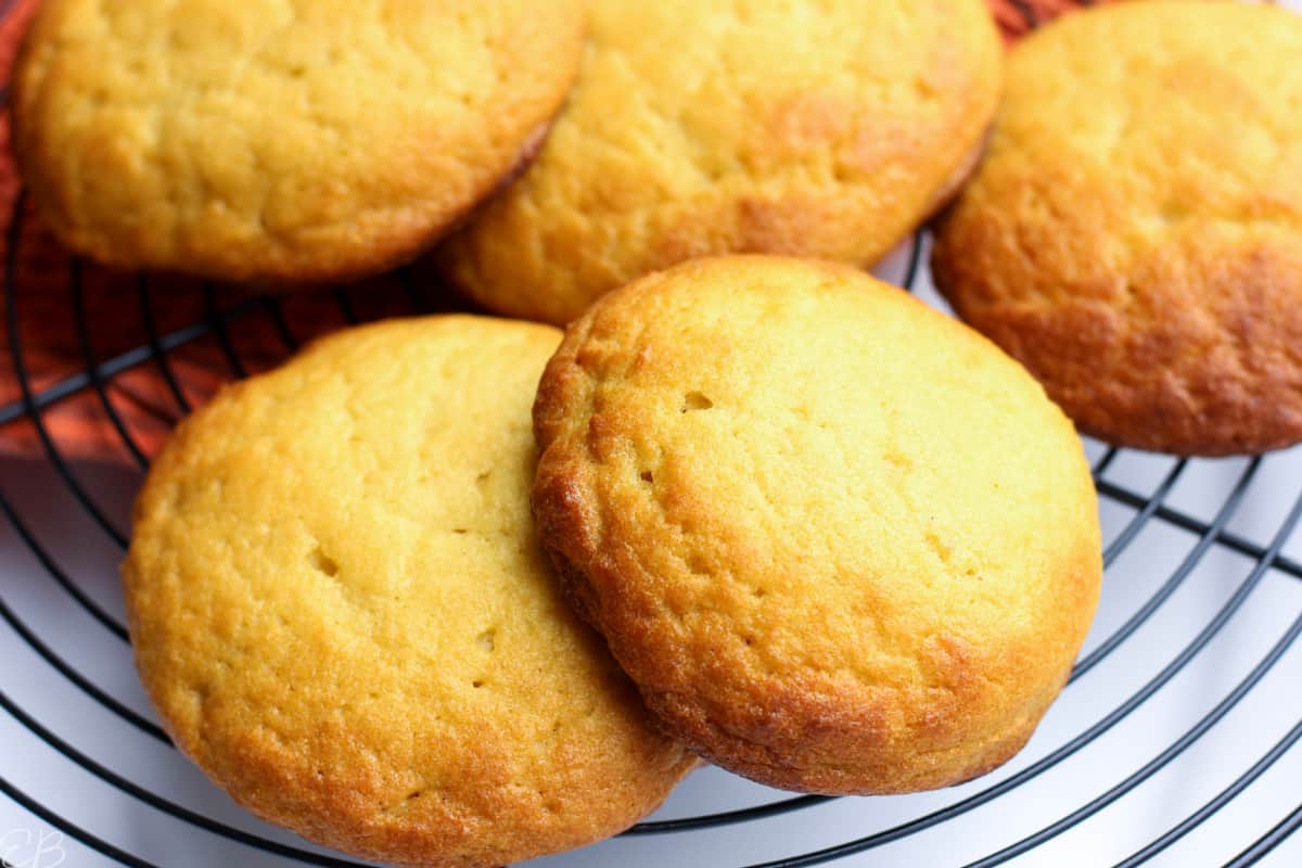 up close photo of golden diatomaceous earth biscuits