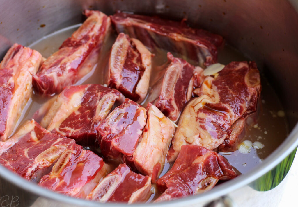 Easiest! Paleo Beef Short Ribs (4 ingredients, dump & bake! Keto, AIP