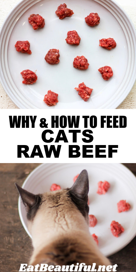 2 photos of cat eating raw beef